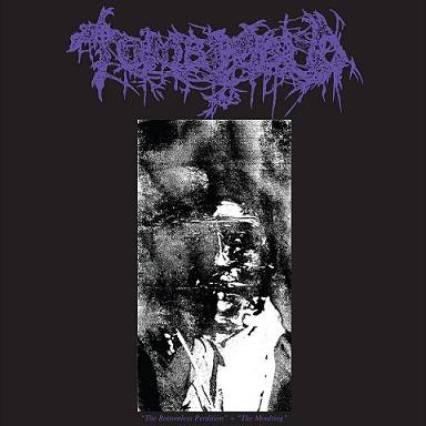 Tomb Mold : The Bottomless Perdition - The Moulting